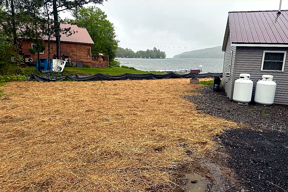 After: Lakefront Land Clearing